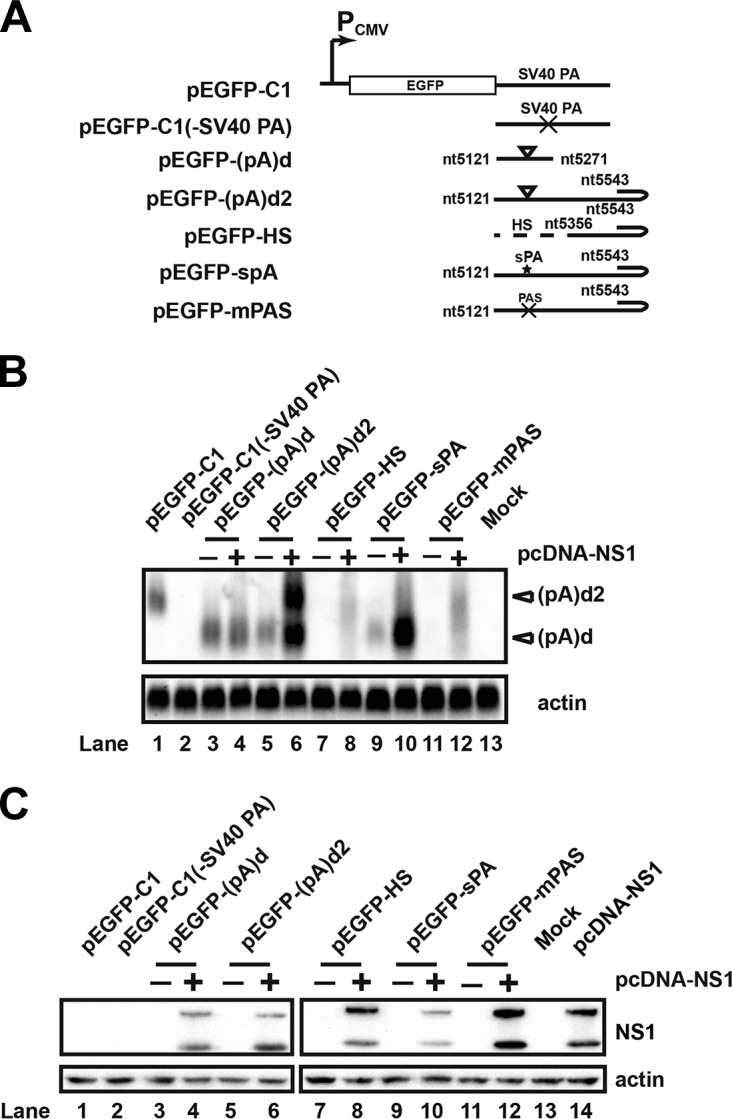 FIG 5