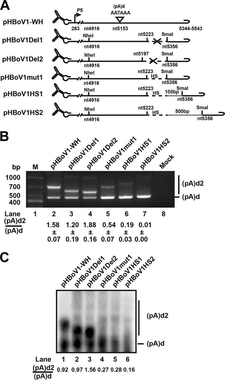 FIG 7