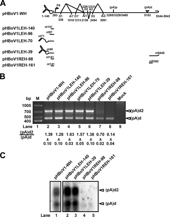 FIG 4