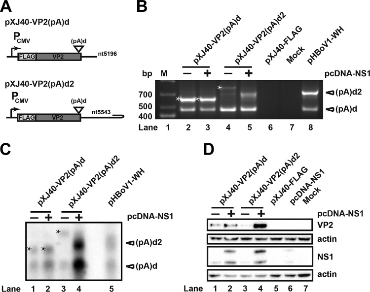 FIG 9