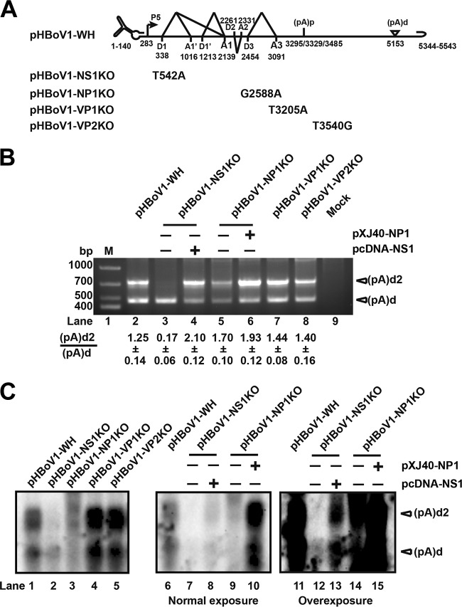 FIG 3