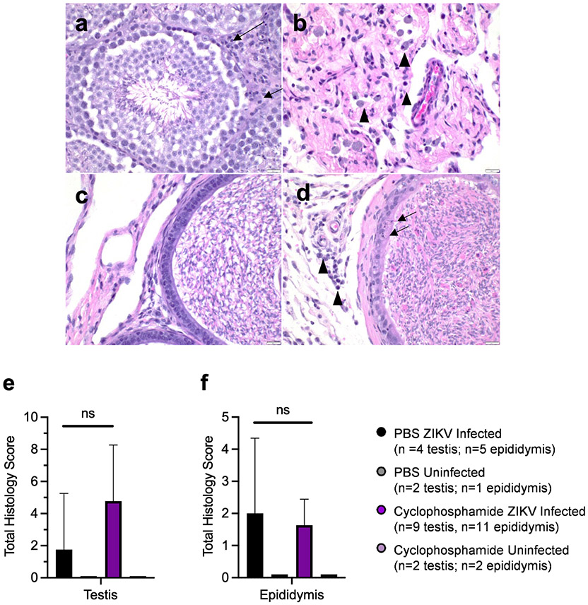 Figure 5: