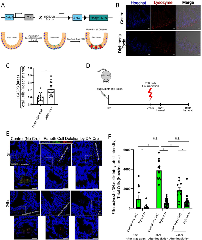 Figure 4: