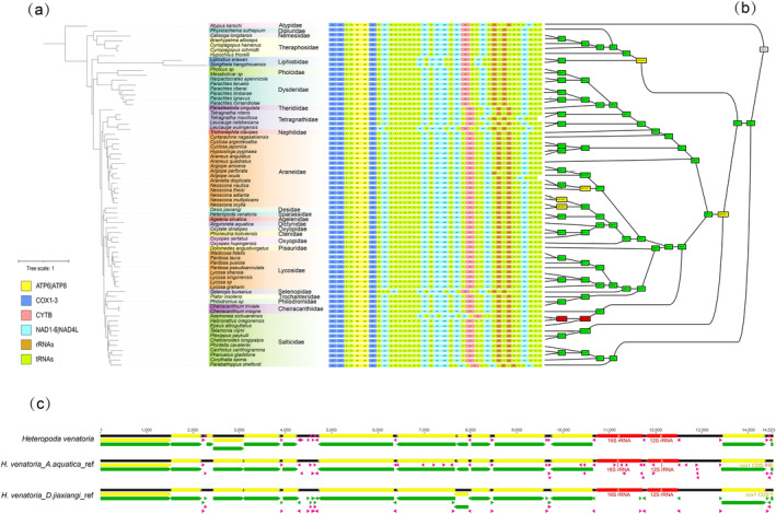 FIGURE 3