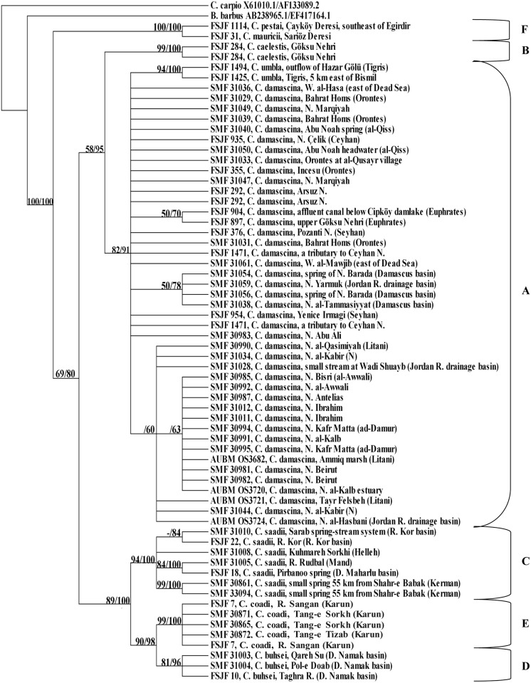 Fig 6