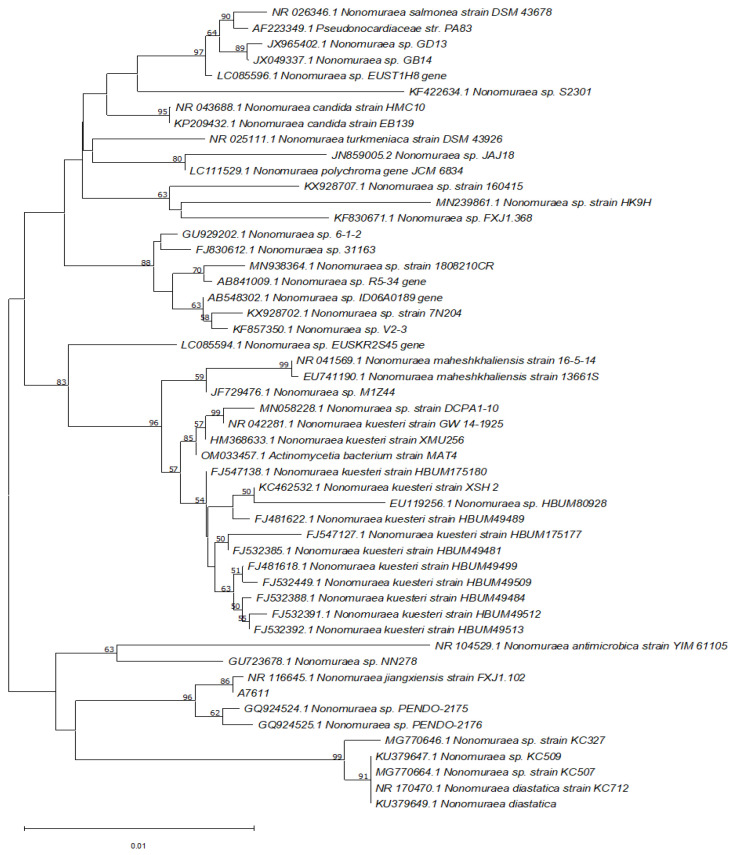 Figure 6