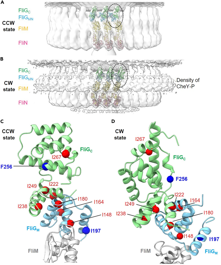 Figure 6