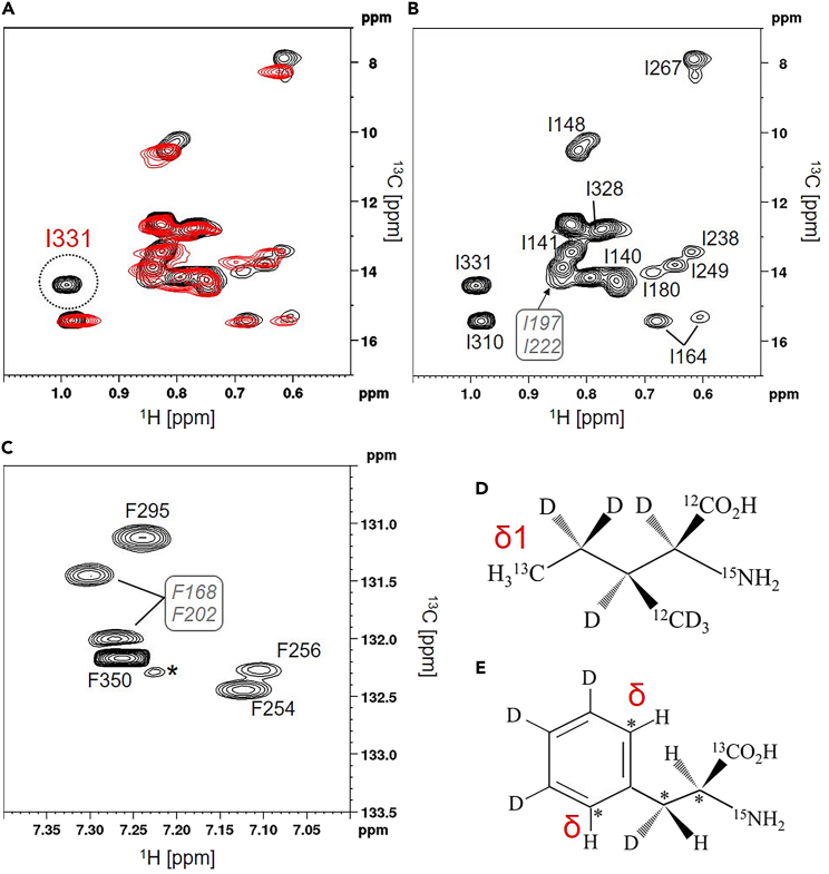 Figure 2