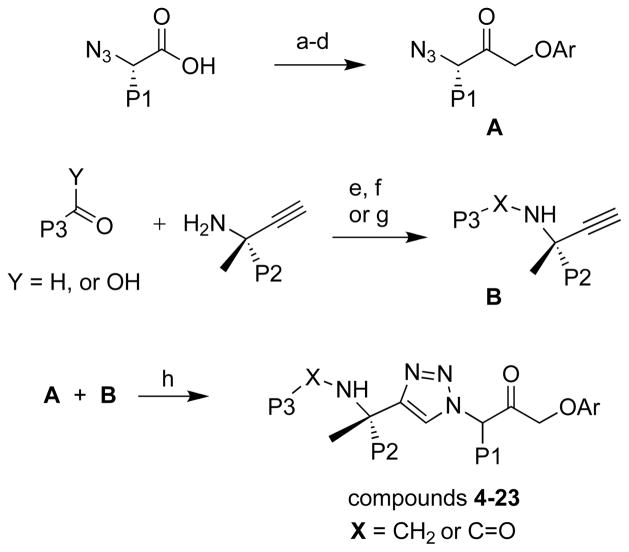 Scheme 1