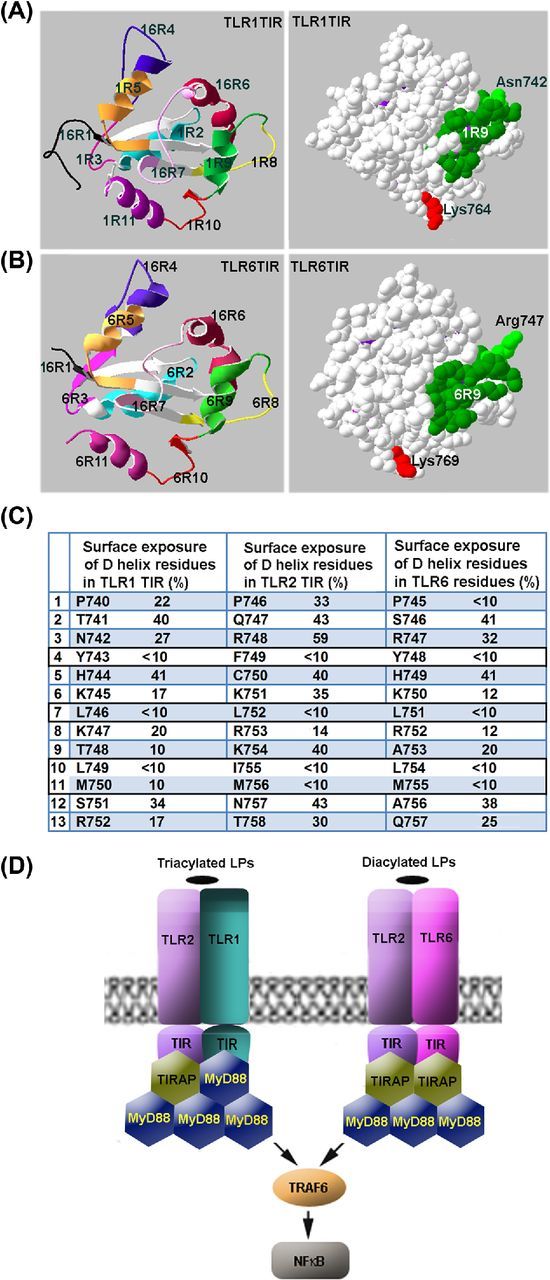 Figure 5.