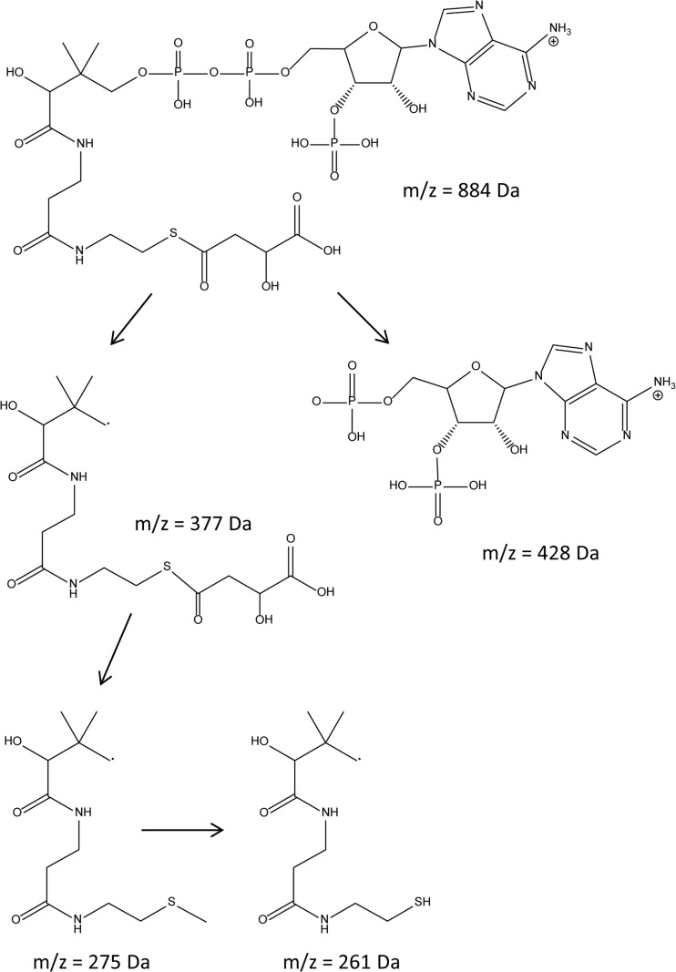 FIG 3