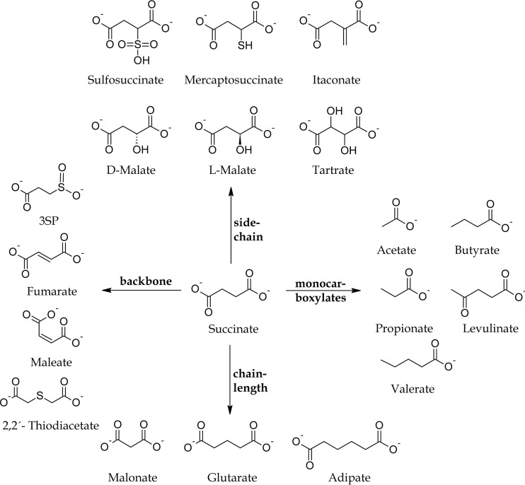 FIG 1