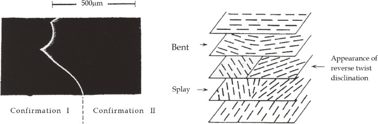 Figure 13. 