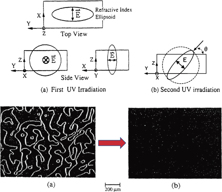 Figure 23. 