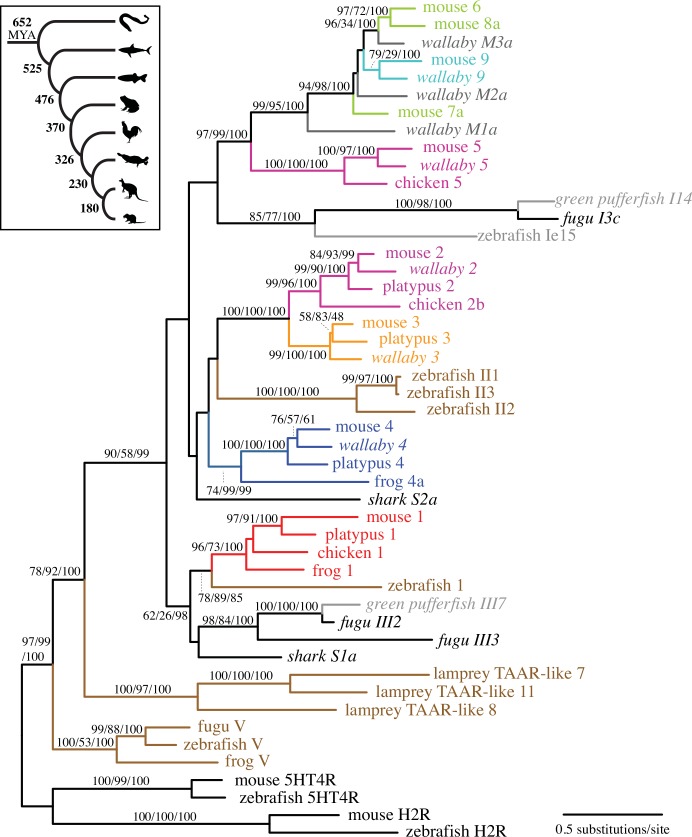 Fig 2