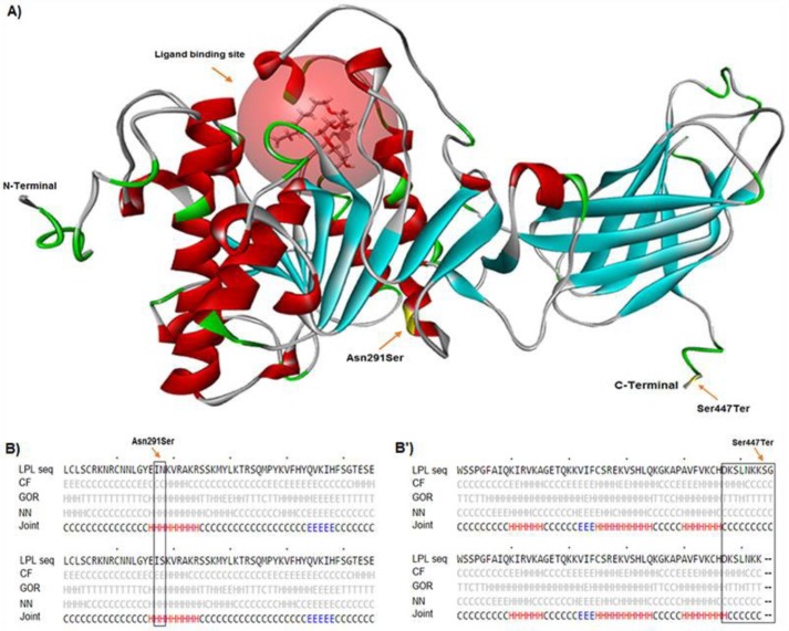 Figure 4