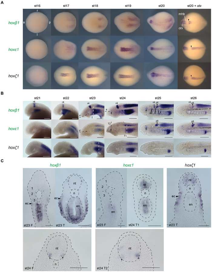 Figure 3: