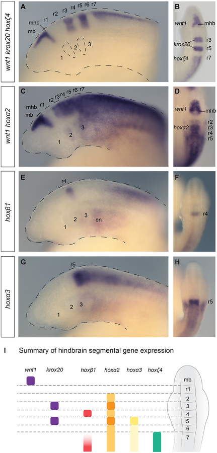 Figure 2: