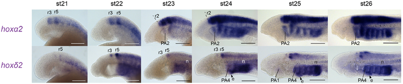 Figure 4: