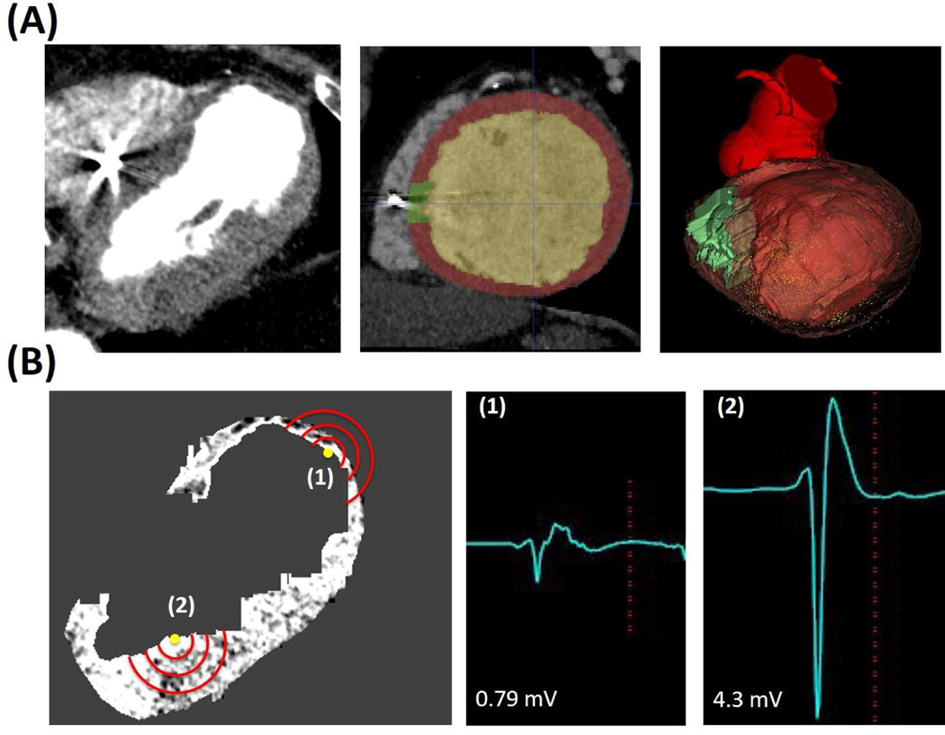 Figure 1: