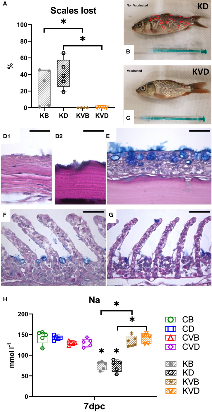 Figure 5