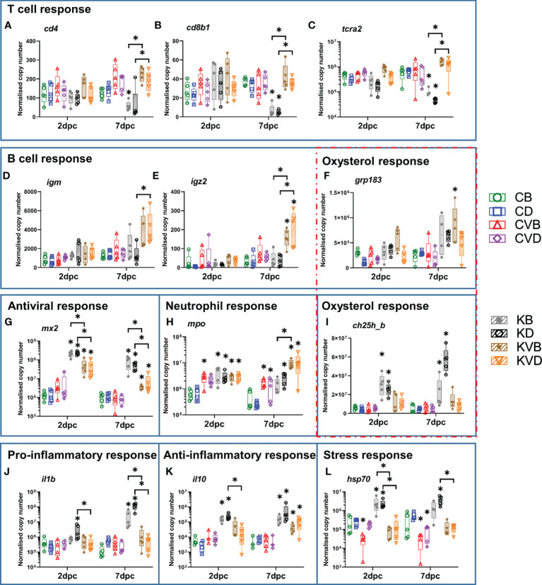 Figure 6