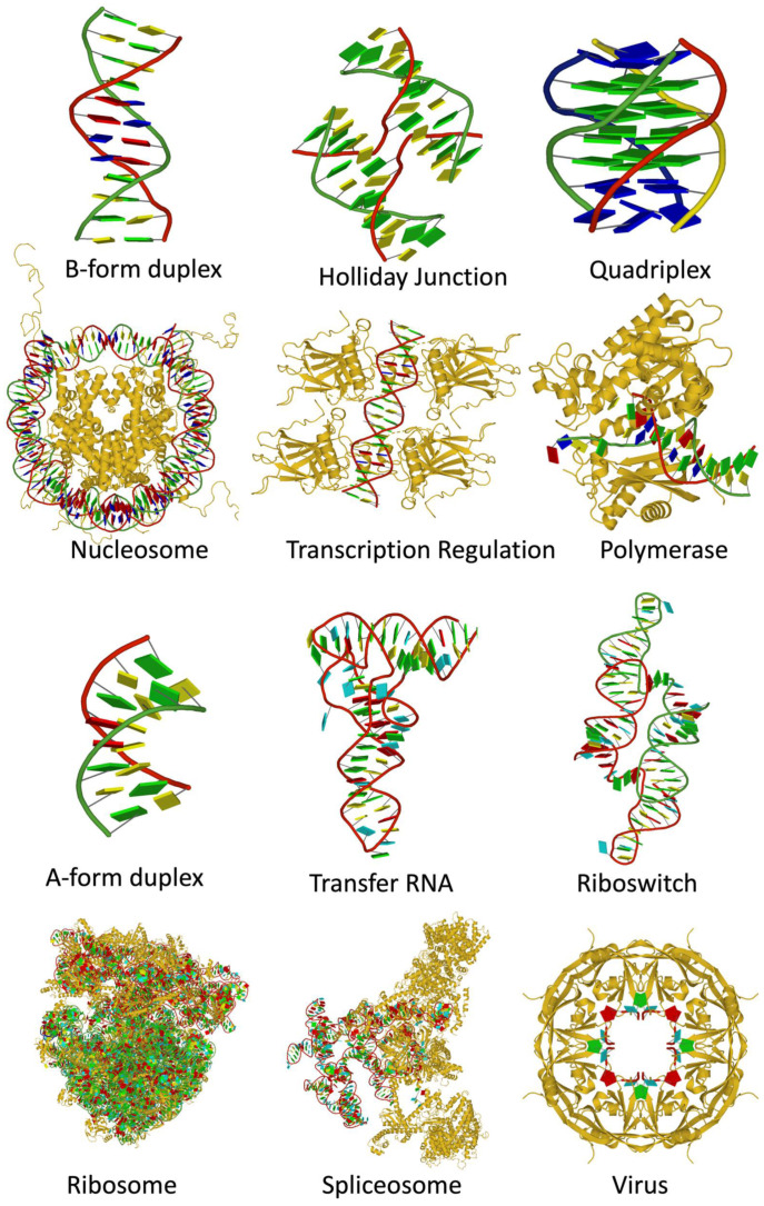 Figure 11