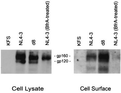 FIG. 8