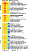 Extended Data Fig. 1