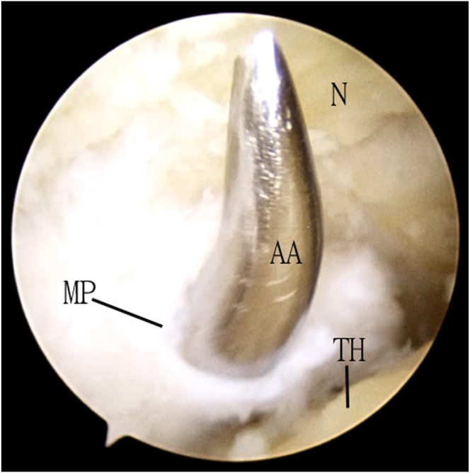 Fig 8