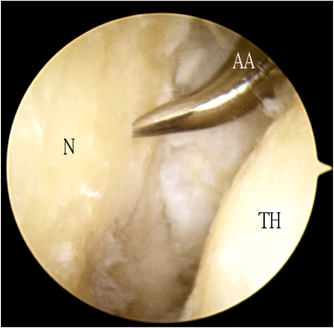 Fig 7
