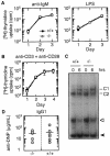 FIG.3.