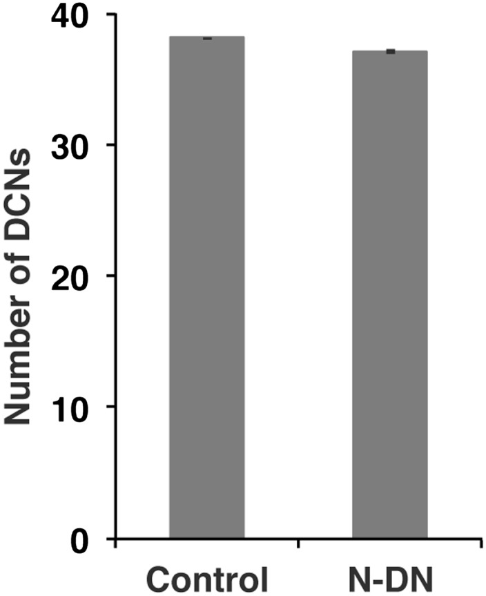 Figure 5—figure supplement 4.