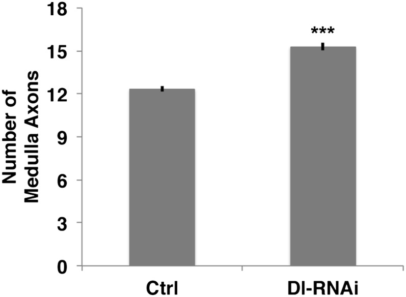 Figure 5—figure supplement 3.