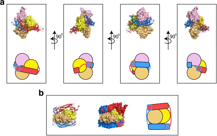 Fig. 3