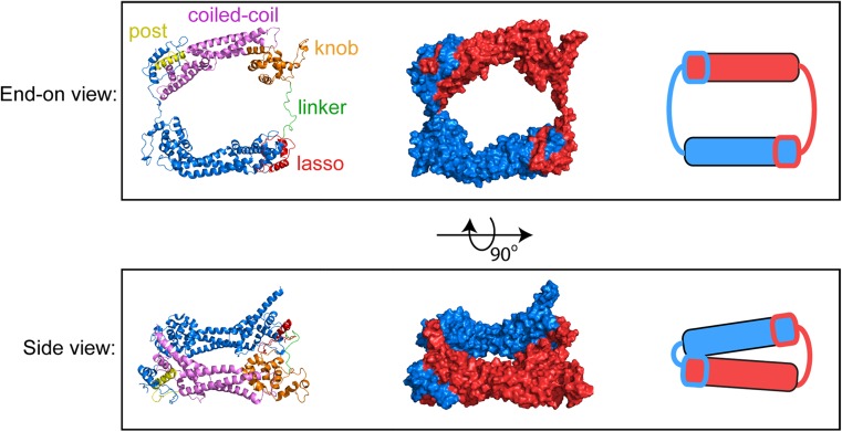 Fig. 2