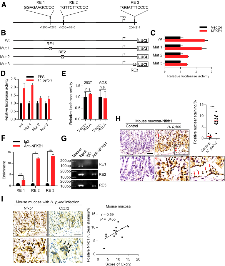 Figure 6