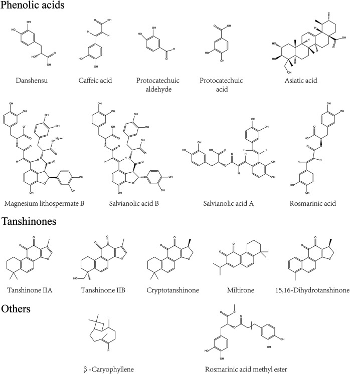 FIGURE 1