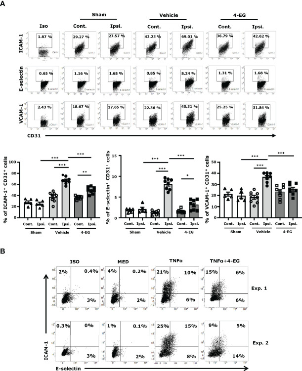 Figure 4