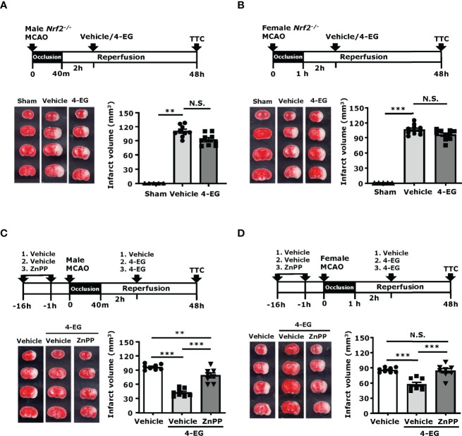 Figure 6