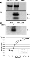 FIG. 6.