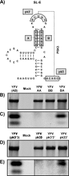 FIG. 7.