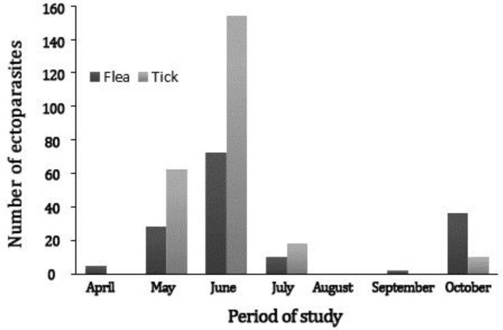    Fig. 3