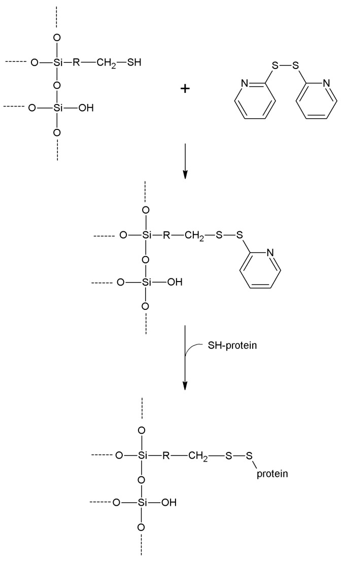 Scheme 18