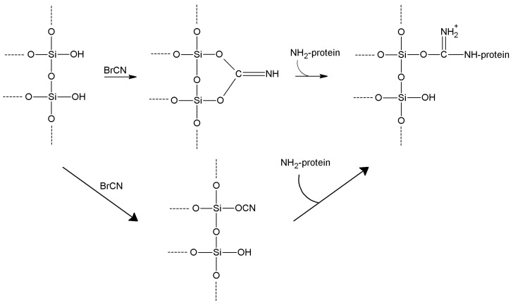 Scheme 3