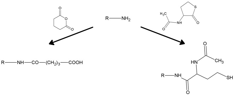 Scheme 2