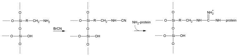 Scheme 5