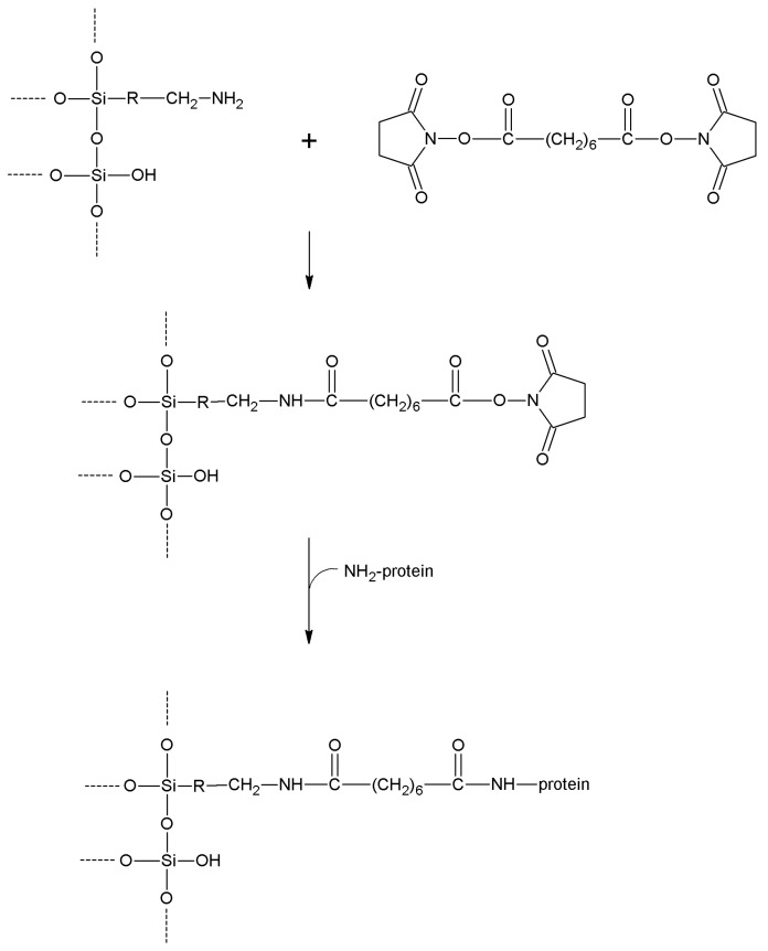 Scheme 15