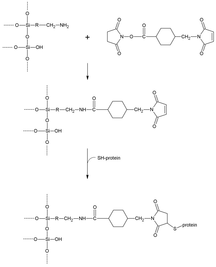 Scheme 16