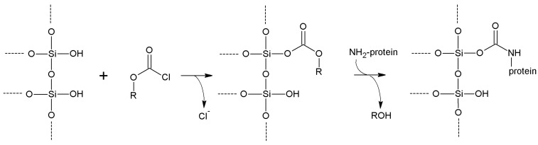 Scheme 8